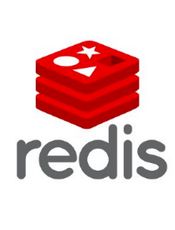 Redis开发运维实践指南
