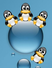 征服 Linux