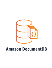 Amazon DocumentDB Developer Guide