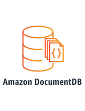 Amazon DocumentDB (兼容 MongoDB) 开发人员指南(20201111)