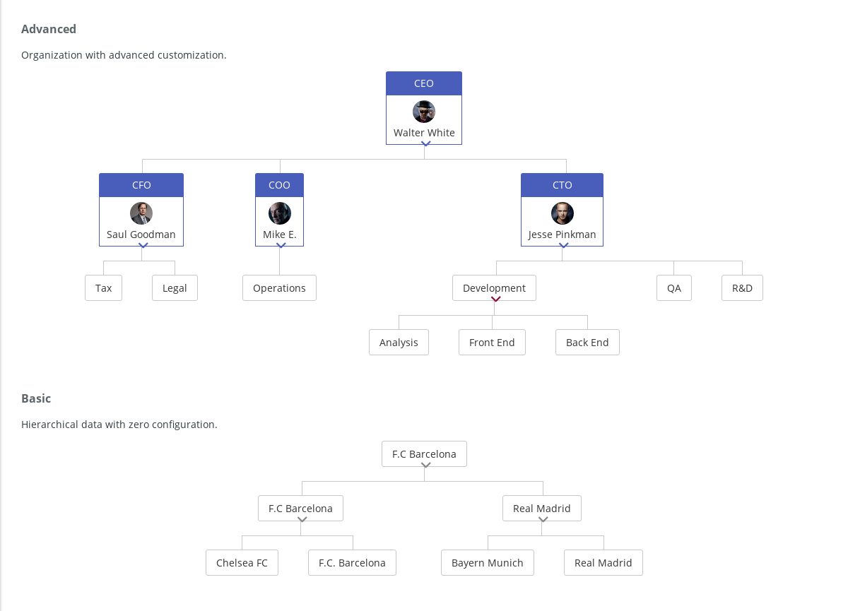 data-org-chart-primeng-document-bookstack