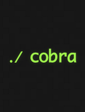 Cobra 源代码安全审计