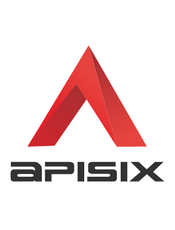 Apache APISIX v2.4 官方文档