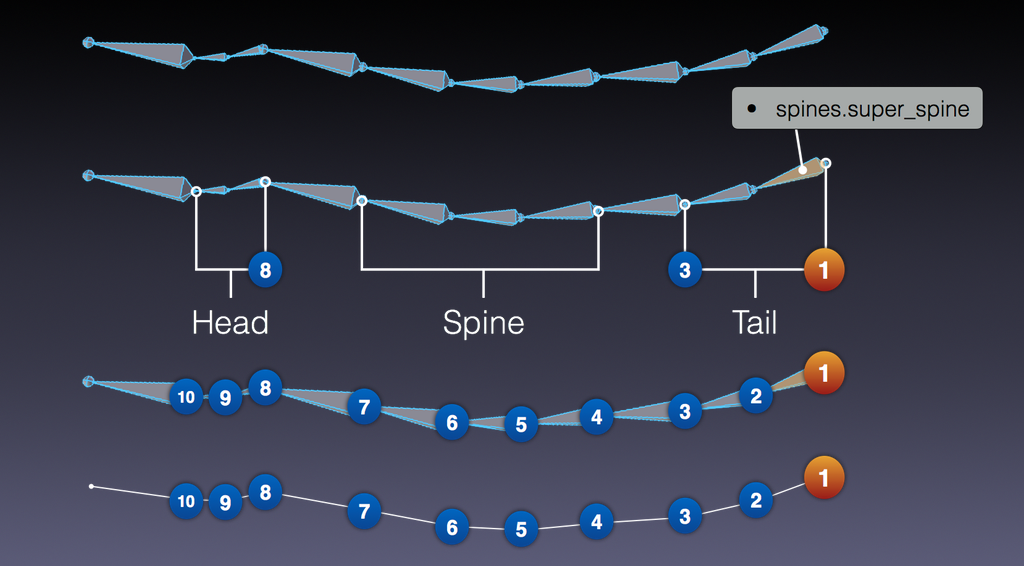 images/addons_rigging_rigify_rig-types_spines-example.png