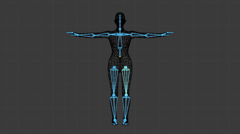 蒙皮 简介《blender 2.79 参考手册 书栈网 bookstack