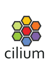 Cilium v1.10 Documentation