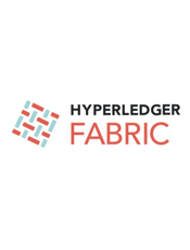 Hyperledger Fabric v2.5 Documentation