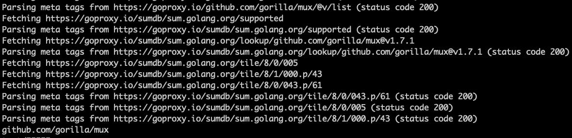 GOSUMDB 环境变量 - 图1