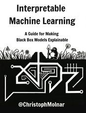 Interpretable Machine Learning