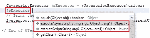 JavascriptExecutor methods