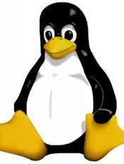 Linux 内核文档（中文版）