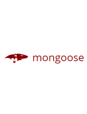 Mongoose ODM v3.8.40 Documentation