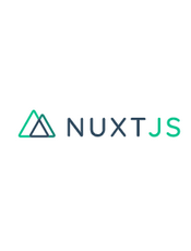 Nuxt.js v2.11.x Guide