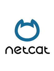 OpenBSD netcat demystified