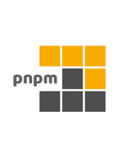 pnpm v6.x documentation