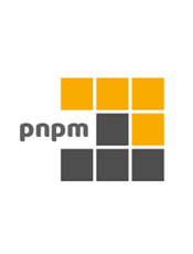pnpm v8.x 中文文档