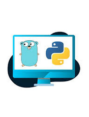 Python/Golang Web 入坑指南