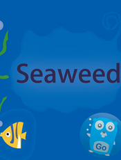 SeaweedFS Wiki
