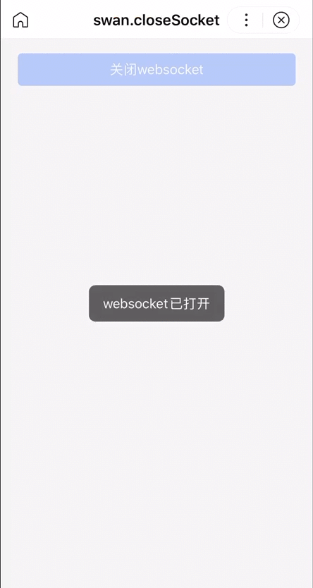 后浪云百度小程序教程：swan.closeSocket插图1