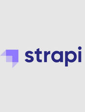 Strapi v3.5.4 Developer Documentation