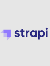 Strapi v3.5.4 User Guide