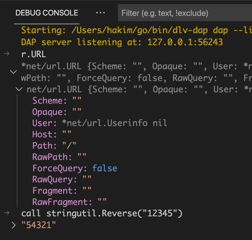 Debugging using Delve DAP (aka dlv-dap) - 《VSCode Go Tutorial》 - 书栈网 · ...