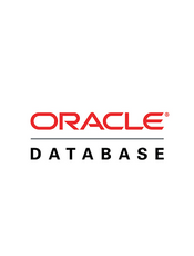 Oracle开发与运维实践